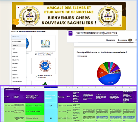 Formulaire en ligne AEES
