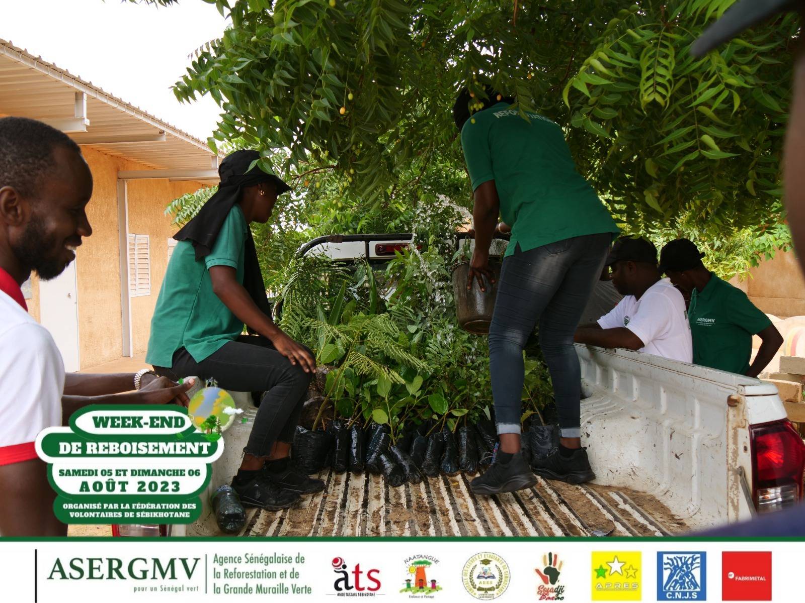 Reboisement action 4