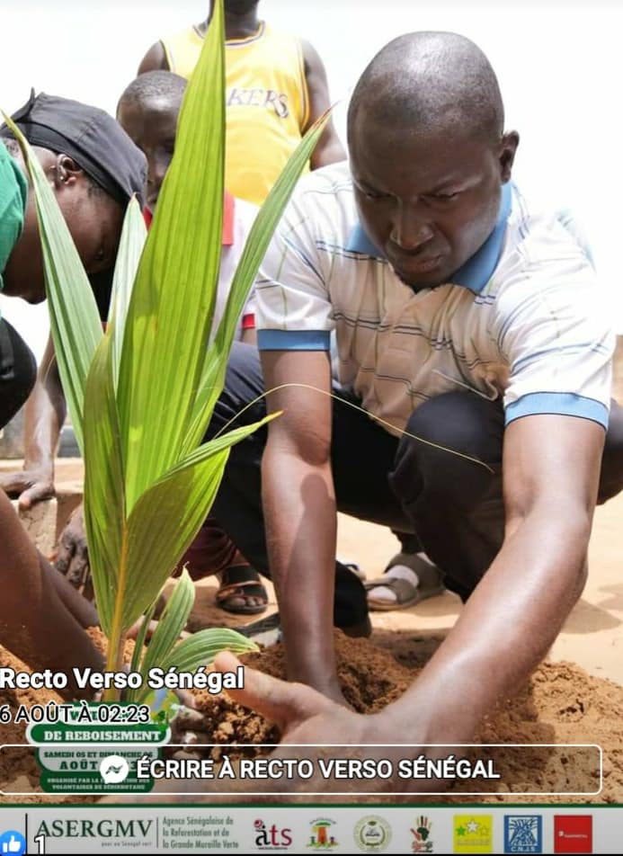 Plantation d'arbres 1
