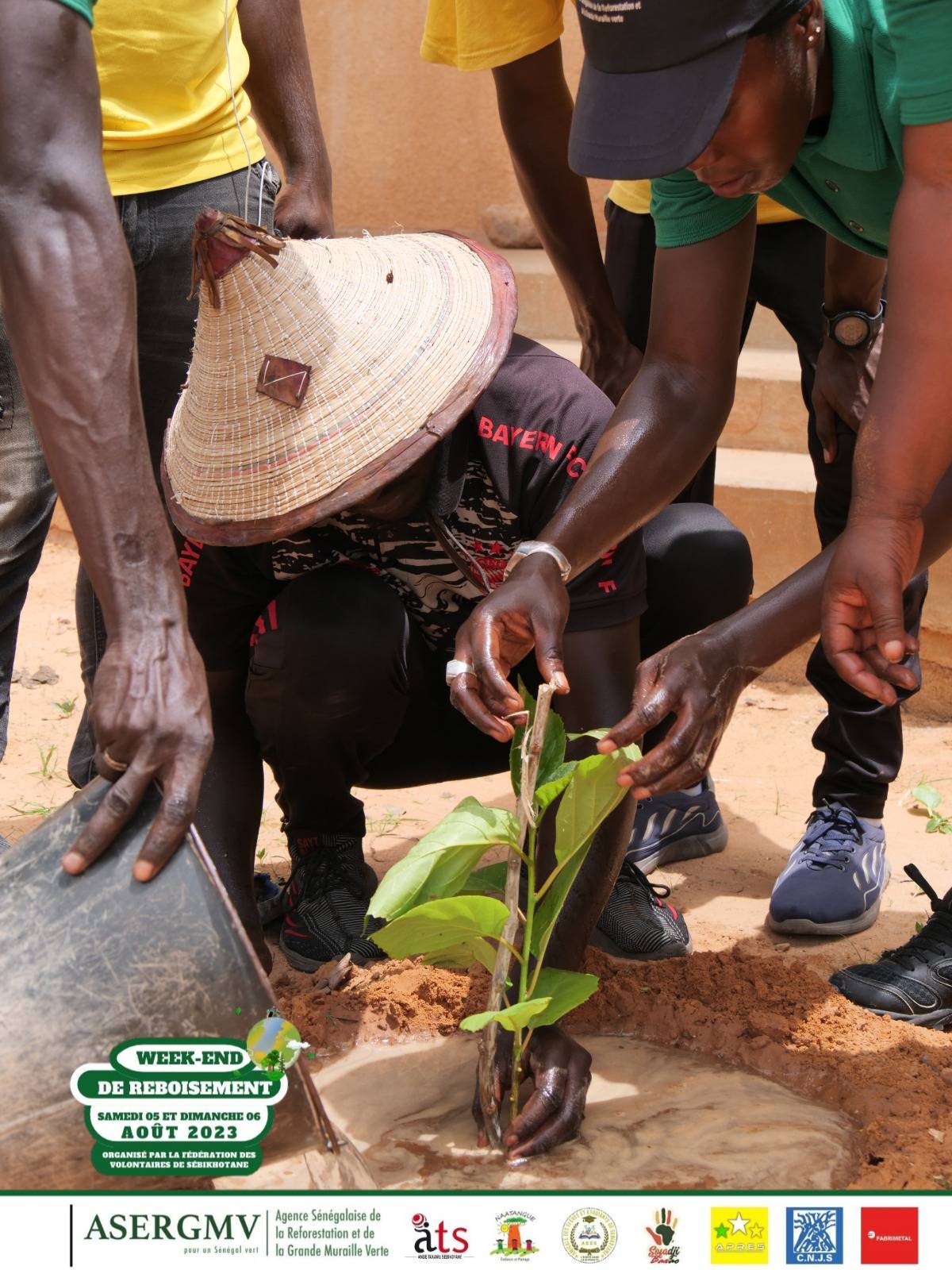 Plantation d'arbres 2